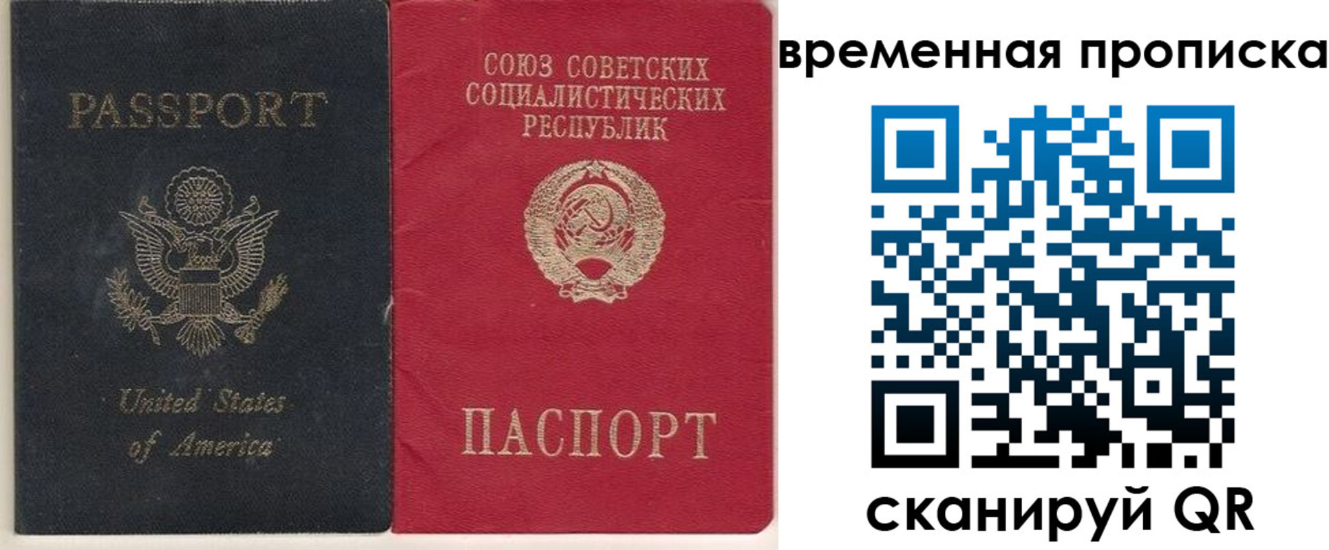 прописка для школы в Пскове